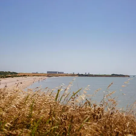 Villa Maison Des Oliviers - Climatisee - Piscine - Proche Ile De Re - La Rochelle