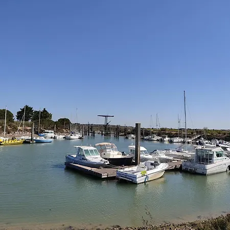 Maison Des Oliviers - Climatisee - Piscine - Proche Ile De Re - La Rochelle Villa